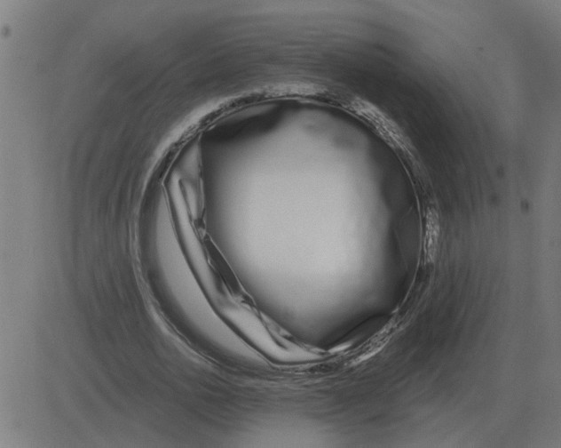 X0000081420726200702092133