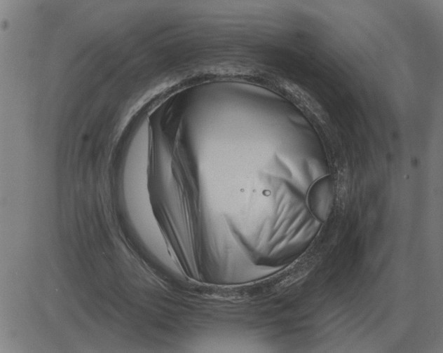 X0000081420727200702092133