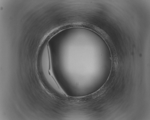 X0000081420728200702092133