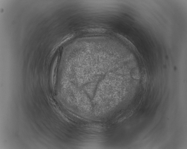 X0000081420729200702092133