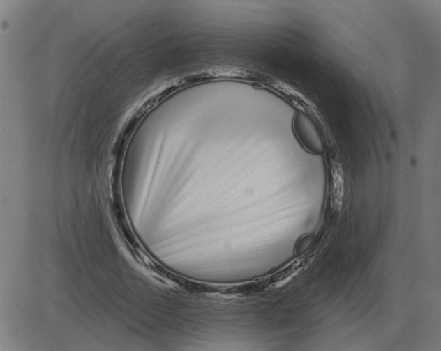 X0000081420730200702092133