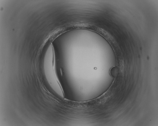 X0000081420731200702092133