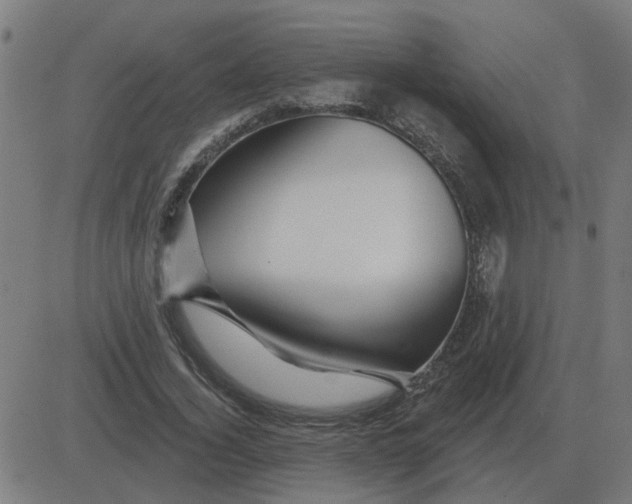 X0000081420732200702092133