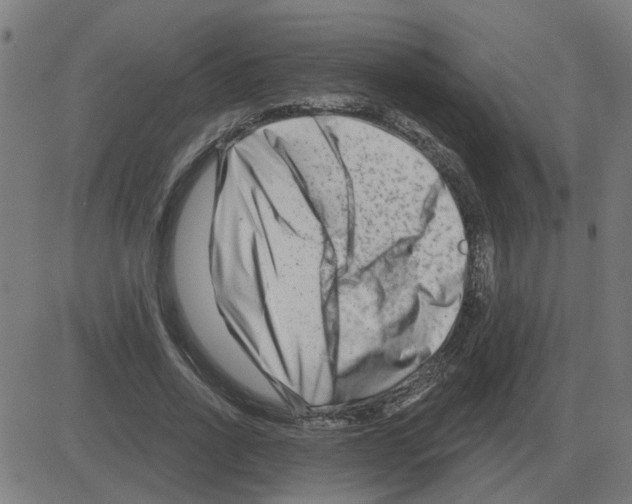 X0000081420734200702092133