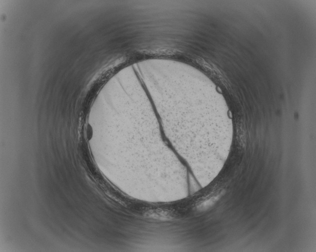 X0000081420735200702092133