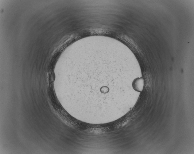 X0000081420738200702092133