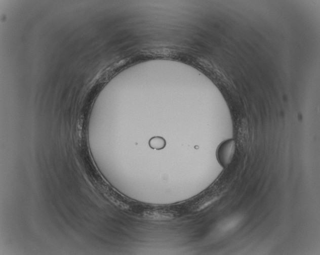 X0000081420739200702092133