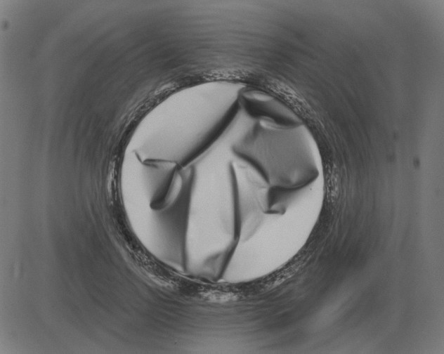 X0000081420742200702092133