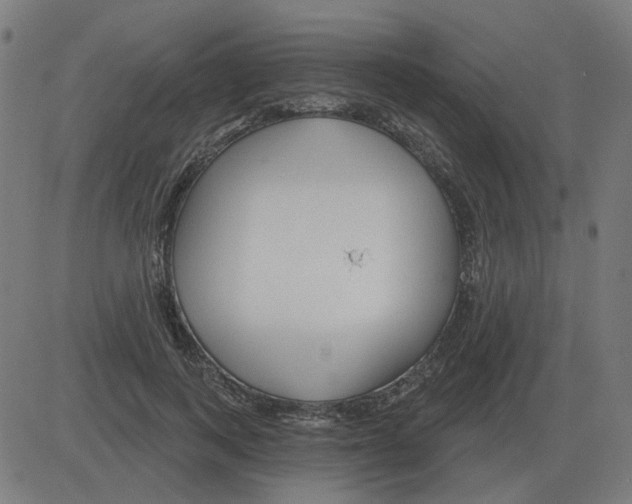 X0000081420743200702092133