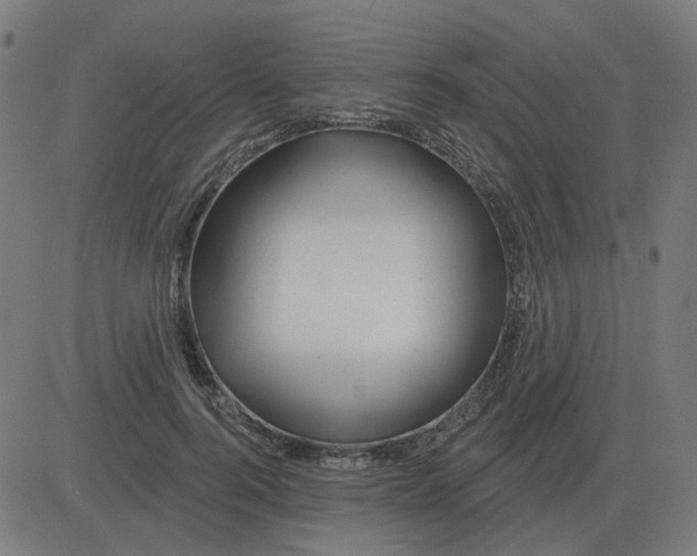 X0000081420744200702092133