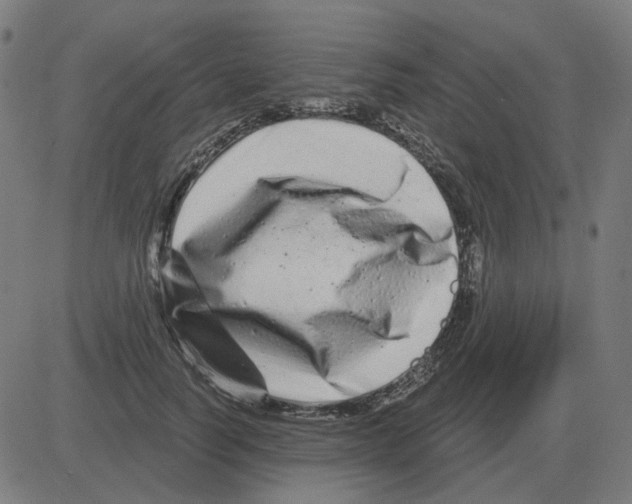 X0000081420746200702092133