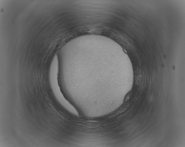 X0000081420748200702092133