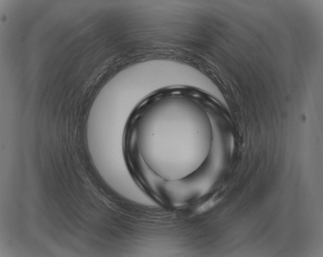 X0000081420750200702092133