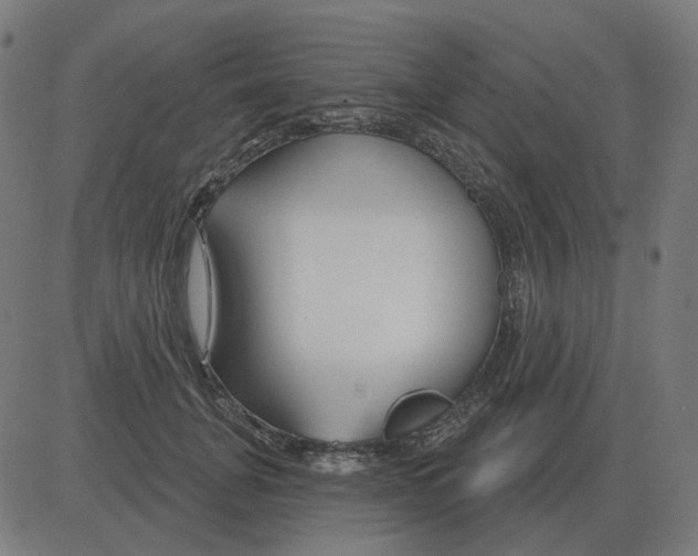 X0000081420751200702092133