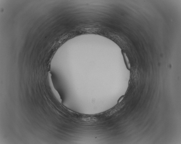 X0000081420752200702092133