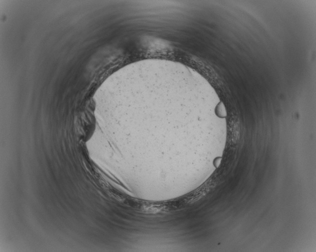 X0000081420753200702092133