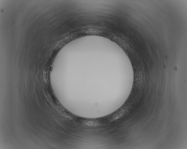 X0000081420755200702092133