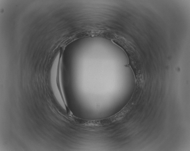 X0000081420756200702092133