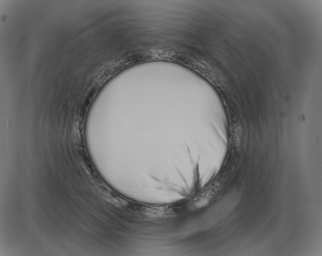 X0000081420757200702092133