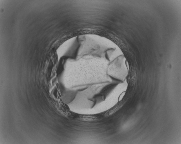 X0000081420758200702092133