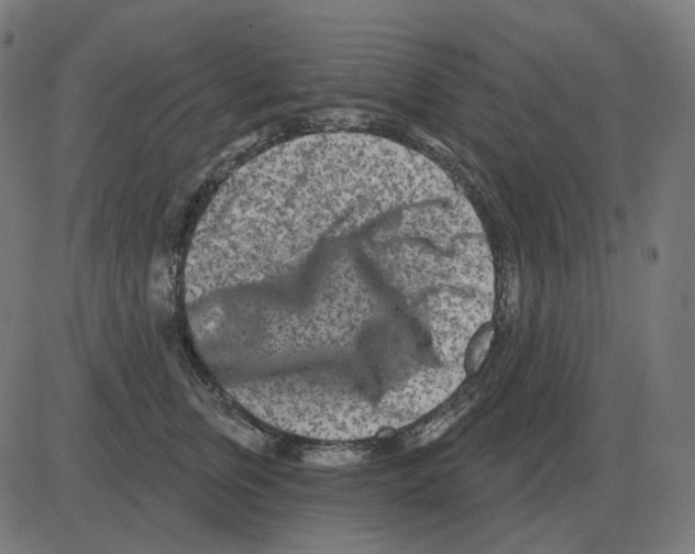 X0000081420759200702092133