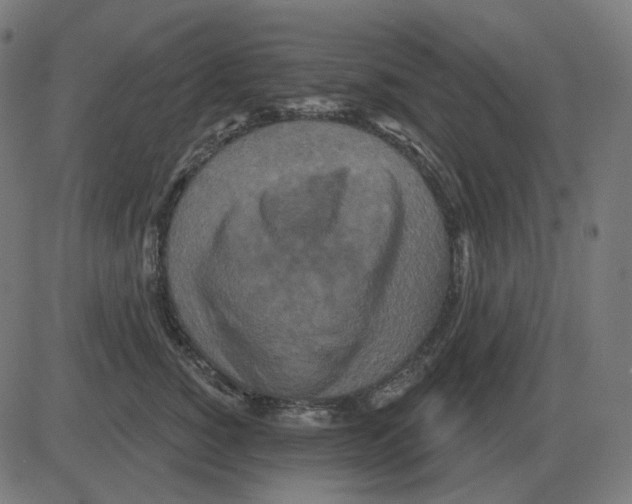 X0000081420760200702092133