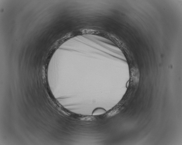 X0000081420761200702092133