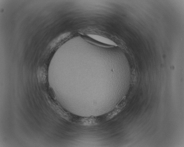 X0000081420762200702092133