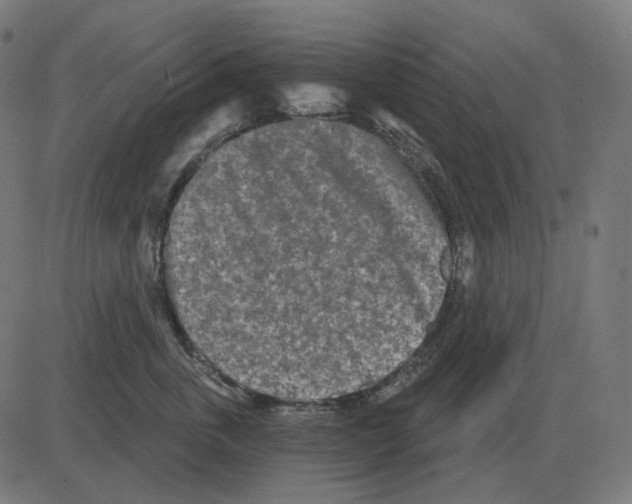 X0000081420763200702092133