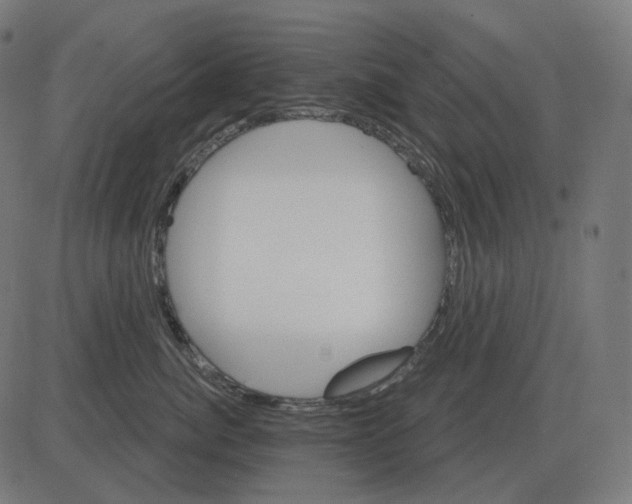 X0000081420764200702092133