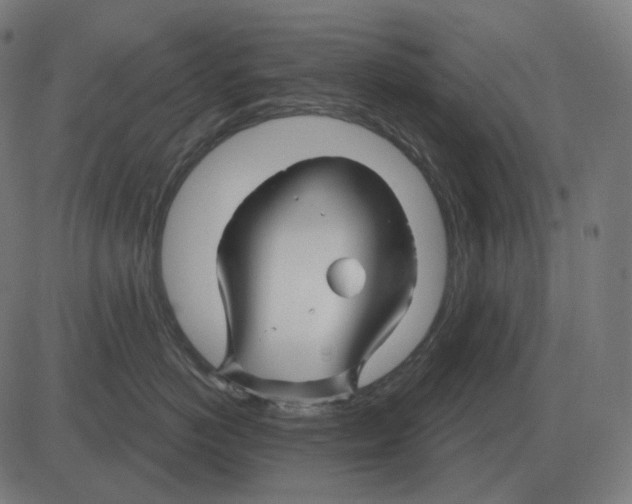 X0000081420766200702092134