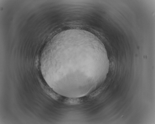 X0000081420767200702092134