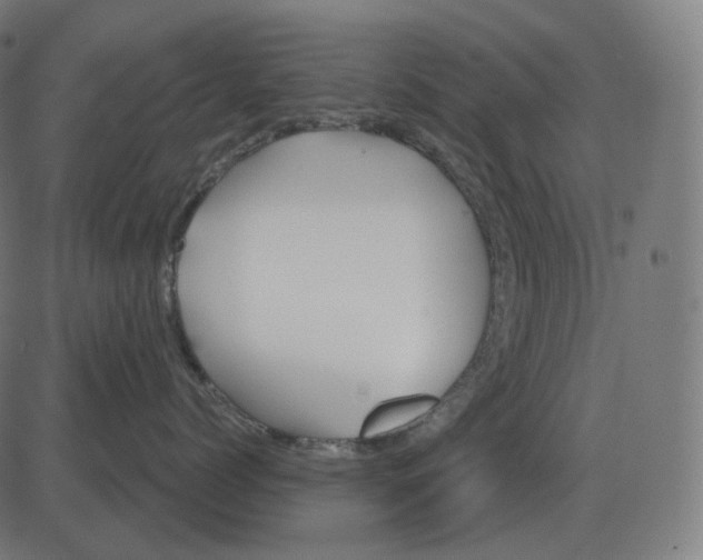 X0000081420768200702092134