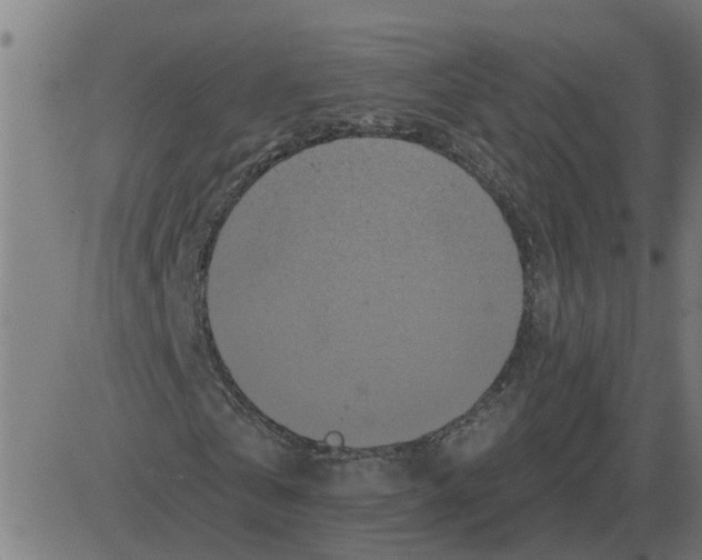 X0000081420769200702092133