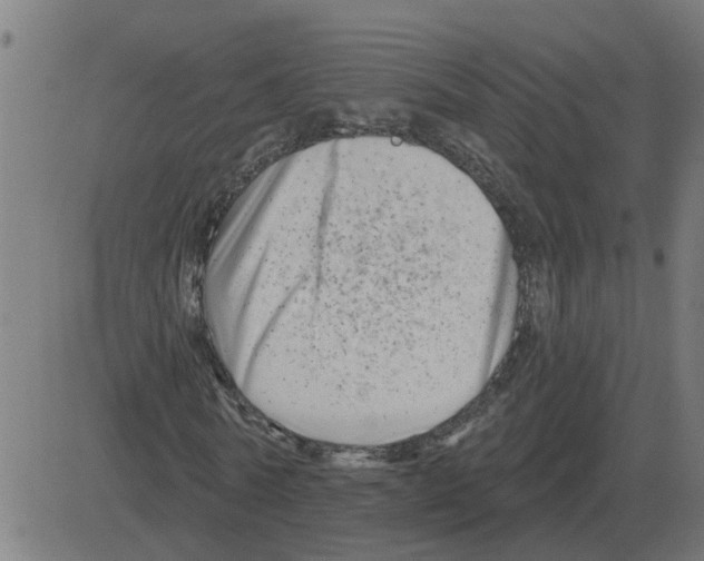 X0000081420770200702092133