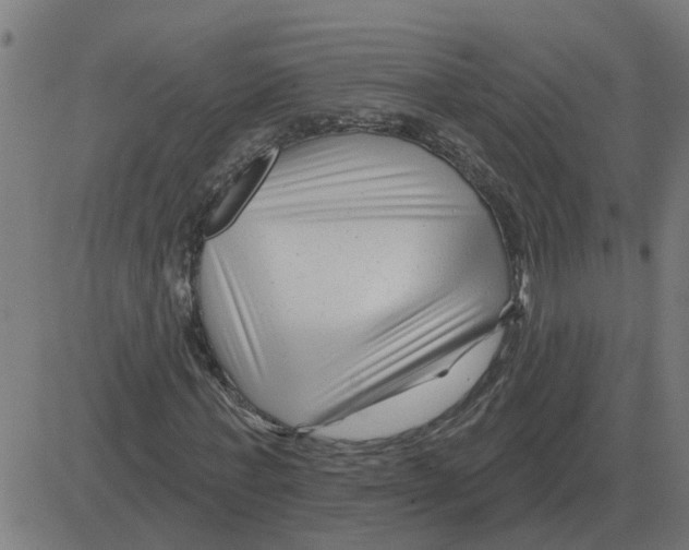 X0000081420771200702092133