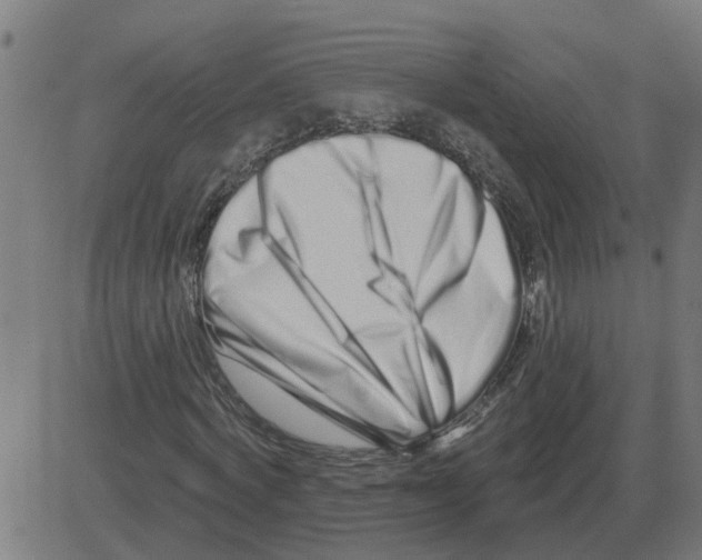 X0000081420772200702092133