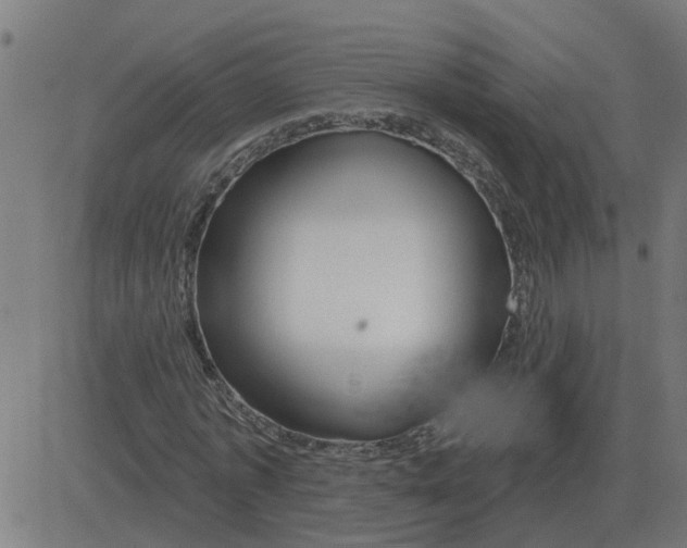 X0000081420773200702092133