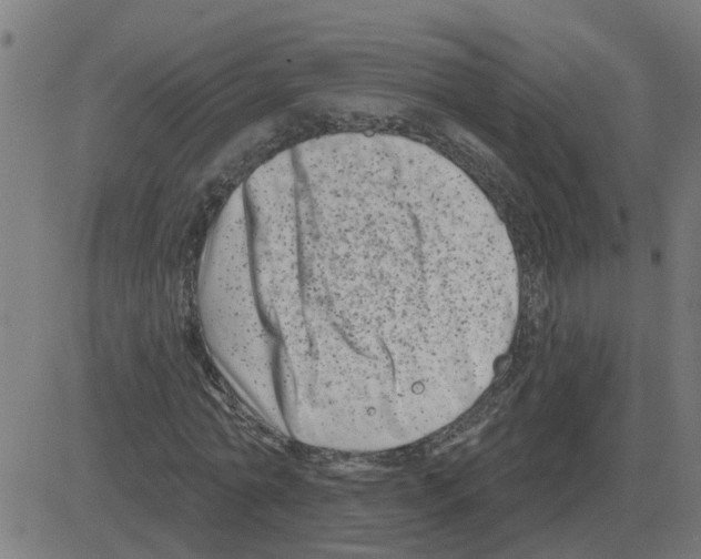 X0000081420774200702092133