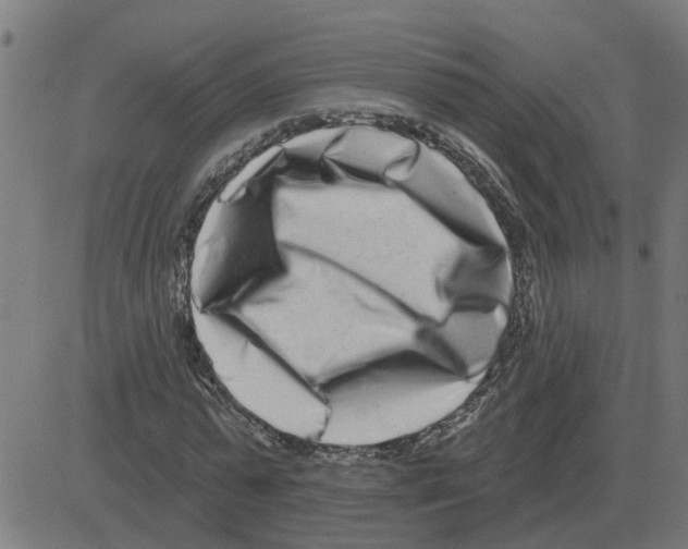 X0000081420775200702092133