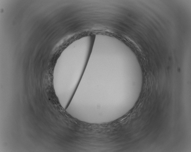 X0000081420776200702092133