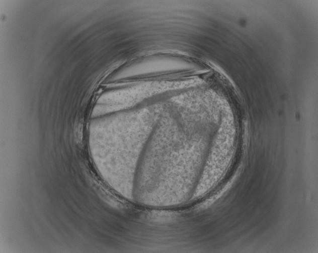 X0000081420777200702092133