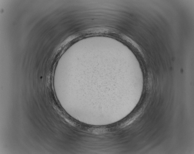 X0000081420778200702092133