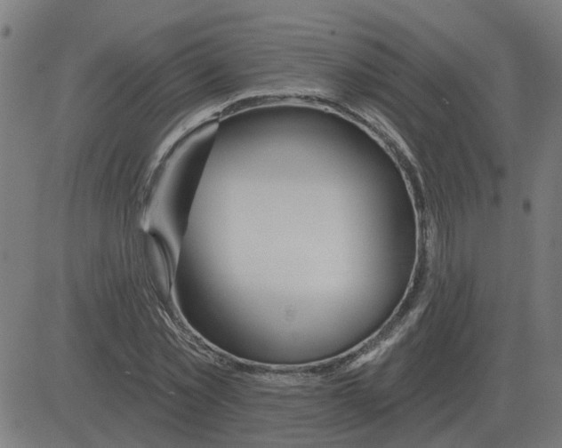 X0000081420781200702092133