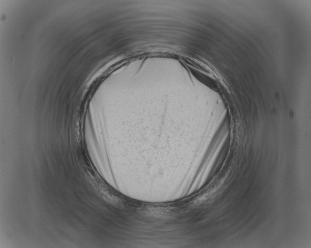 X0000081420782200702092133