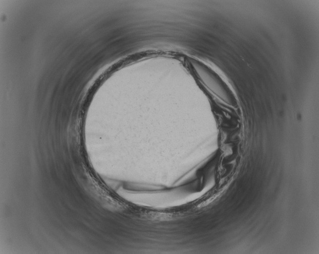 X0000081420783200702092133