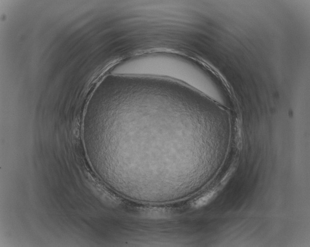 X0000081420785200702092133