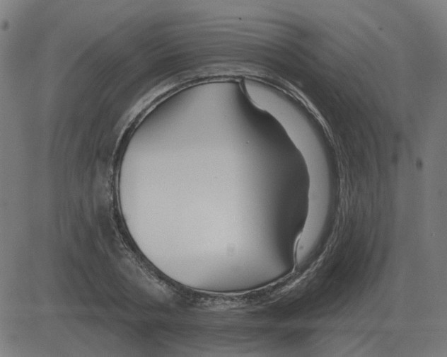 X0000081420786200702092132