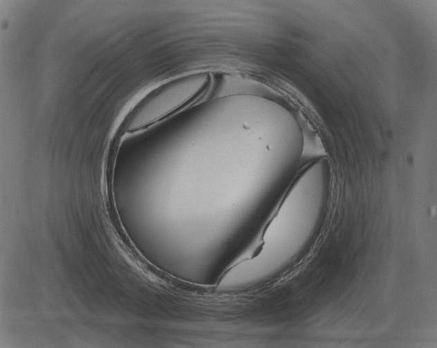 X0000081420788200702092132