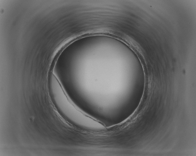 X0000081420789200702092132